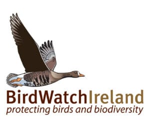 Birdwatch Ireland supports Save Our Sprat