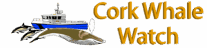 Cork Whale Watch supports Save Our Sprat