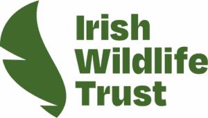 The Irish Wildlife Trust supports Save Our Sprat