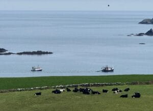 A pair of trawlers targeting forage fish close inshore off the West Cork coast