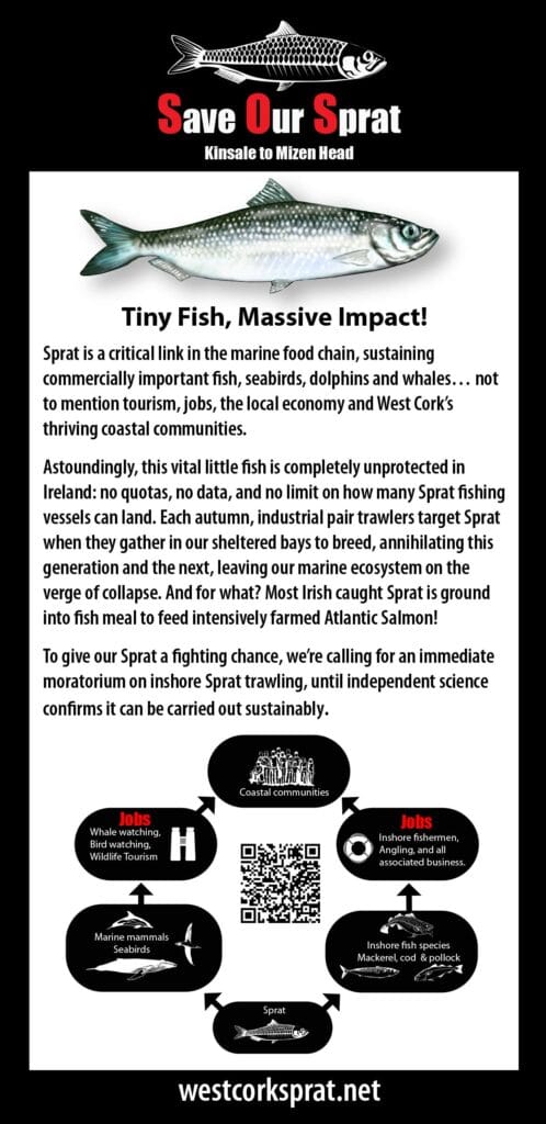 Save Our Sprat Downlaodable DL Flyer.