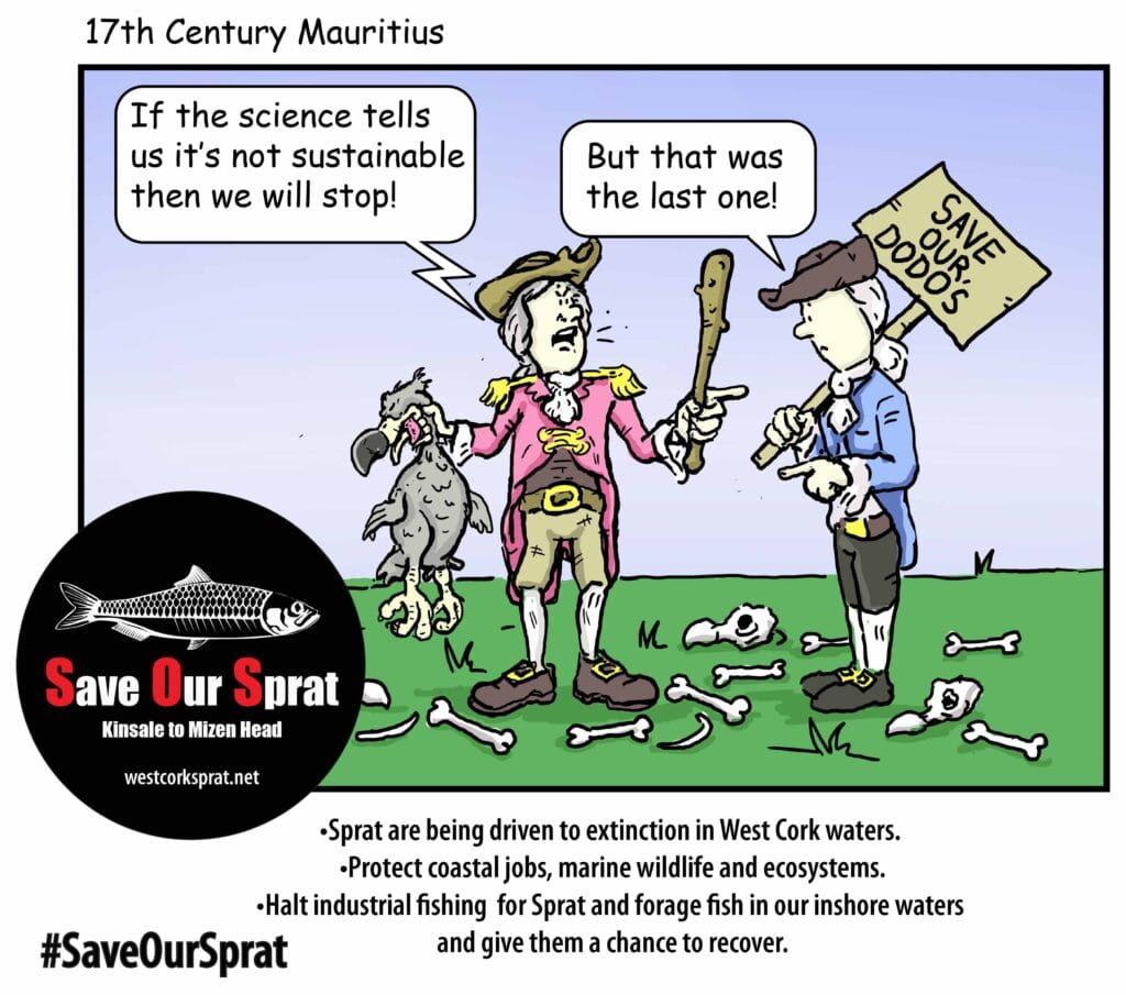 Sprat are heading for extinction off the West Cork Coast fished to extinction off the West Cork Coast