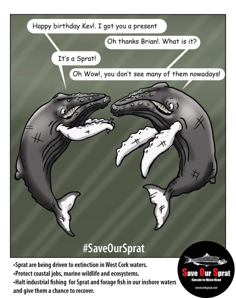 Humpnack Humour Sprat Cartoon by William Helps -- Save Our Sprat West Cork