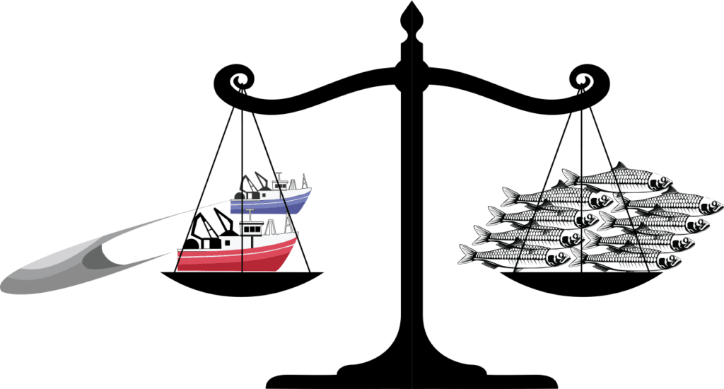 Justice for Sprat in the High Court!